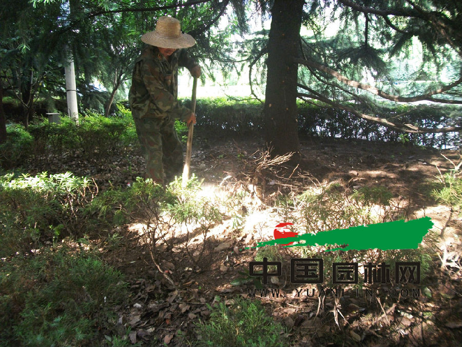 DSCF7168.jpg