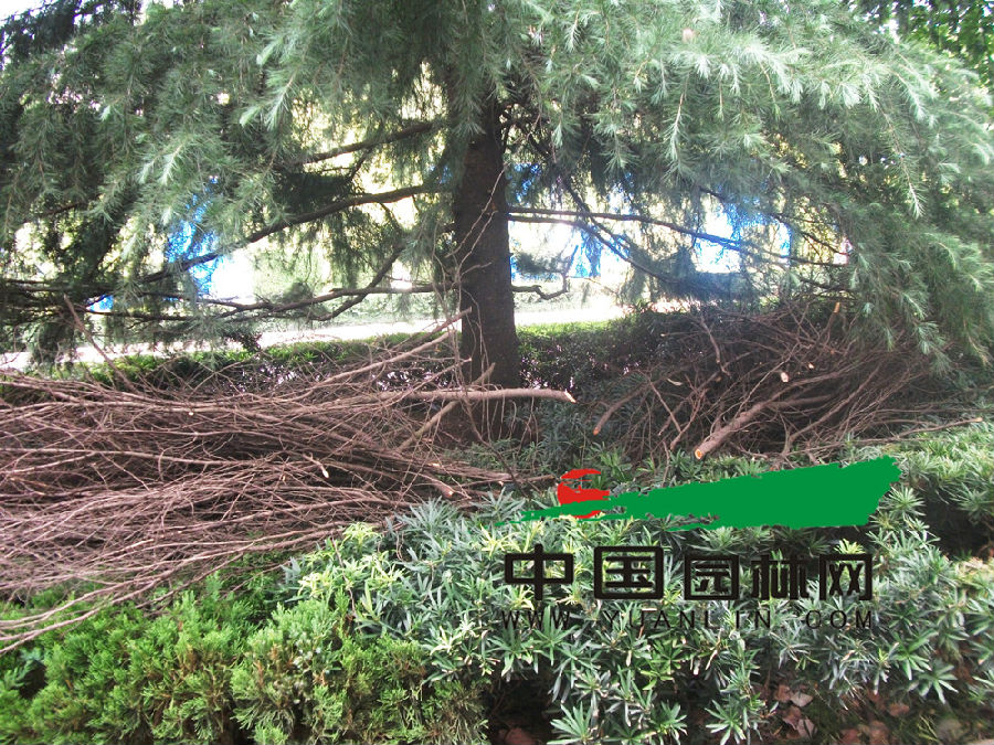 DSCF7161.jpg