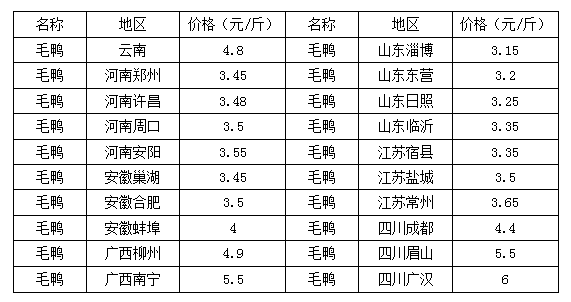 这是一张中元节有吃鸭传统 毛鸭购销两旺的配图